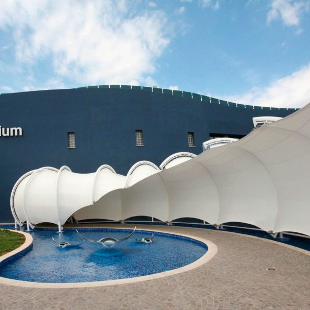 Palma-aquarium