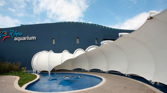 Palma-aquarium